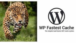 【免费】最新WP Fastest Cache下载(Premium), v1.7.1, GPL, 缓存插件