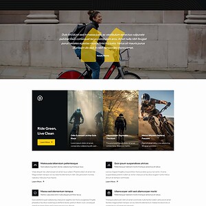 电动自行车 E-bike