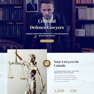 Criminal Lawyer 刑事律师