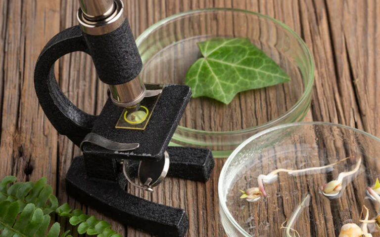 pharmaceutical cosmetics