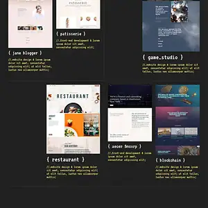 Web Developer Portfolio 网络开发人员作品集
