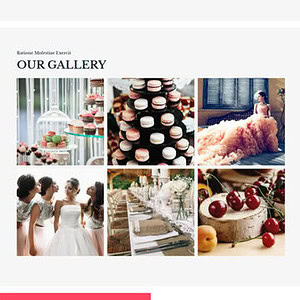 Wedding Planner 婚礼策划